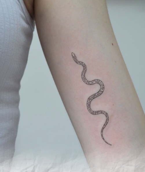 Delicado tatuaje de serpiente