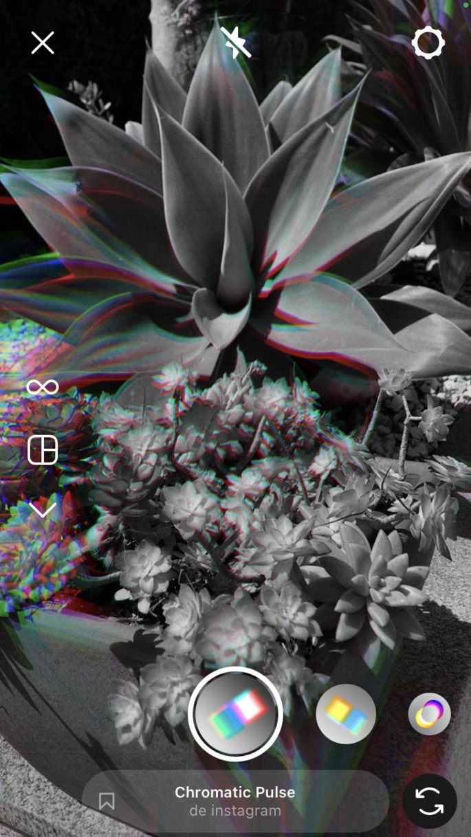 Planta con efecto Instagram