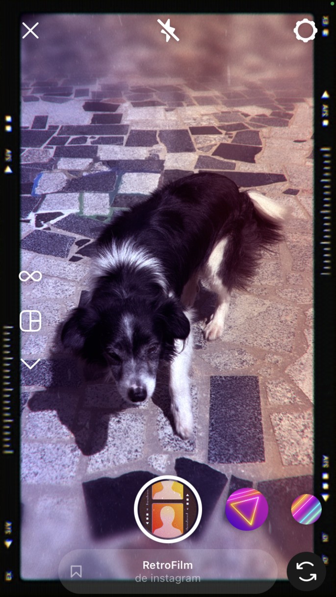 Perro con efecto instagram