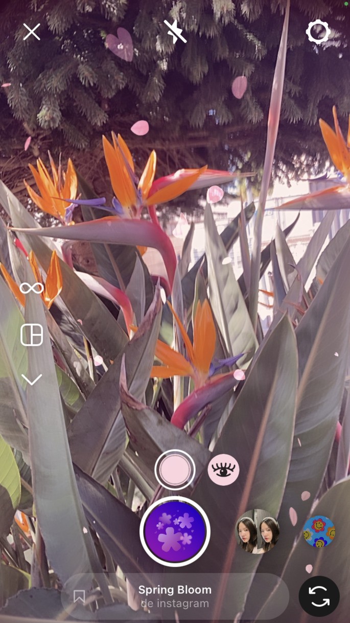 flores efecto instagram